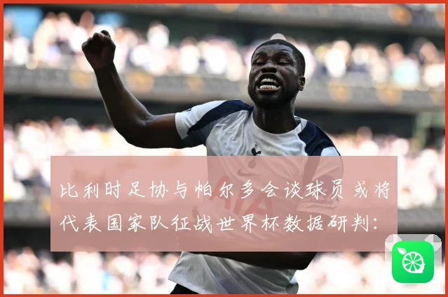 比利时足协与帕尔多会谈球员或将代表国家队征战世界杯数据研判：最新赛事动态与深度分析